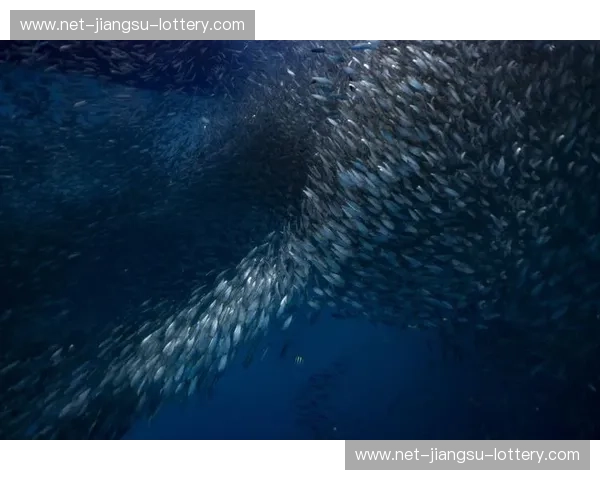 预测跳水：提前洞察市场风暴的软实力